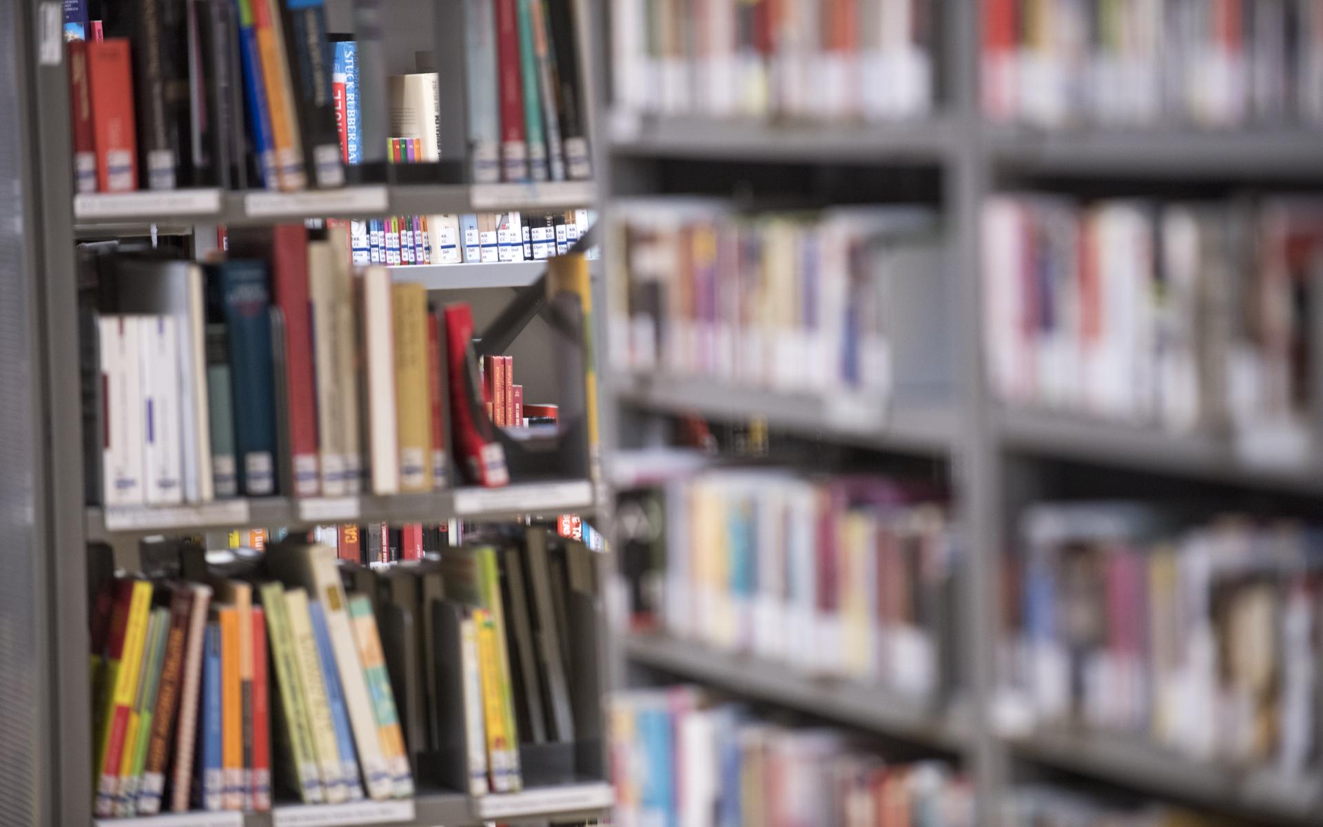 Symbolbild: Bücherregale